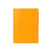 Legami My Notebook - Carnet de notes à élastique - 17 x 24 cm - ligné - mangue