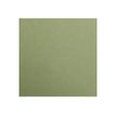 Clairefontaine Maya - Papier à dessin - 50 x 70 cm - 270 g/m² - kaki