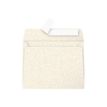 Pollen - 20 Enveloppes - 90 x 140 mm - 120 g/m² - ivoire irisé