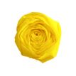 3065501036153-Clairefontaine Premium - Papier crépon - Rouleau 50 cm x 2,5 m - 40 g/m² - jaune citron-P_7550015_1-0