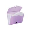 3135250968897-Viquel Propysoft - Classeur ménager (valisette trieur) 12 onglets - disponible dans diffé-P_79367420_1-0