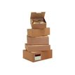 50 Boîtes postales d'expédition - 18 cm x 10 cm x 5 cm - kraft brun - Logistipack