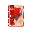 3130630039129-Exacompta - Intercalaire personnalisable 12 positions - A4 - polypropylène coloré-P_79399735_1-0