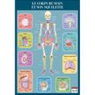 3592930008746-Bouchut - Poster pédagogique effaçable - 52 x 76 cm - Squelette humain-P_79409638_1-0