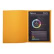 3288582100265-Exacompta Rock"s - 100 Chemises - 210 gr - pour 200 feuilles - orange clair-P_79417669_3-1