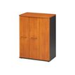 3483600739940-Rangement haut JAZZ+ - L80 x H112 x P48 - 3 portes - Aulne-P_79426156_1-0