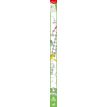 3154148312130-Maped - Poster XL à colorier-P_79444287_6-2