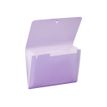 3135251281353-Viquel Propysoft - Trieur extensible 6 positions - 17 x 22 cm-P_79445249_1-2