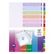 3135251583570-Viquel Intercolor - Intercalaire 12 positions - A4 - polypropylène coloré--1