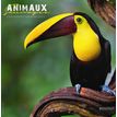3592930020489-Bouchut Animaux sauvages - Calendrier illustré mensuel - 30 x 30 cm--0