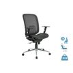 3397704813003-Fauteuil de bureau AXIOME - accoudoirs réglables - noir--0