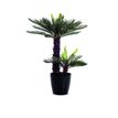 3660141290042-Plante artificielle cycas - hauteur 80 cm--0