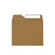 3329680290011-Pollen - 20 Enveloppes - 90 x 140 mm - 135 g/m² - kraft-Avant-1
