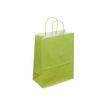 50 Sacs cadeau kraft - poignées torsadées - 22 cm x 12 cm x 31 cm - vert