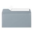 Pollen - 20 Enveloppes - 110 x 220 mm - 120 g/m² - argent