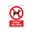 Pickup - Panneau Interdit aux chiens - 230 x 330 mm