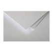 3329680500714-Pollen - 20 Enveloppes - 90 x 140 mm - 120 g/m² - argent-Gros plan-2