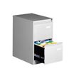Classeur métallique monobloc professionnel - 2 tiroirs - H71 x L41 x P62 cm - gris clair