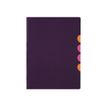 Pagna Style Up - Trieur 5 positions - violet