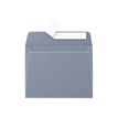 Pollen - 20 Enveloppes - 90 x 140 mm - 120 g/m² - gris