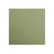 Clairefontaine Maya - Papier à dessin - A4 - 120 g/m² - kaki