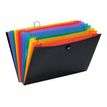 Viquel Rainbow Class - Trieur extensible 12 positions