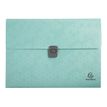 3130630584100-Exacompta MAÏA - Trieur valisette à soufflet 13 positions - disponible dans différentes couleur-Avant-0