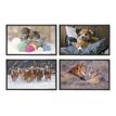 3135251306872-Viquel Fantaisie Animaux - Sous-main - 59,5 x 36,2 cm - PVC - disponible en différents coloris-Avant-0
