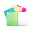 2012346205207-Exacompta Forever Foldyne - 100 Chemises - 170 gr - couleurs assorties-Avant-0