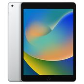 Apple iPad - 9ème génération (2021) - tablette 10,2" reconditionnée grade A - 256 Go - gris