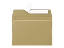Pollen - 20 enveloppes auto-adhésives (114 x 162 mm) - or 
