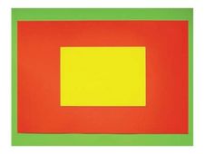 Apli Agipa - 25 cartons fluos - 40 x 60 cm - vert/rose
