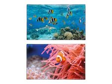 Viquel - Sous-main Poisson-clown ou Requin - 59,5 x 36,2 cm