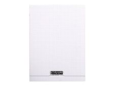 Calligraphe 8000 - Cahier polypro 17 x 22 cm - 96 pages - grands carreaux (Seyes) - transparent