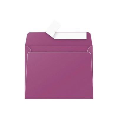 3329680052411-Pollen - 20 Enveloppes - 90 x 140 mm - 120 g/m² - cassis-Avant-0
