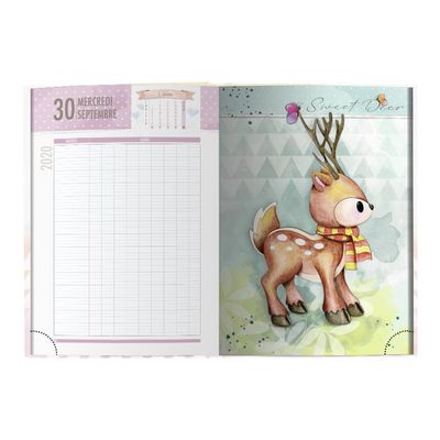 3592930017434-Bouchut - Agenda Dino vert - 1 jour par page - 12,5 x 17,5 cm-Avant-2