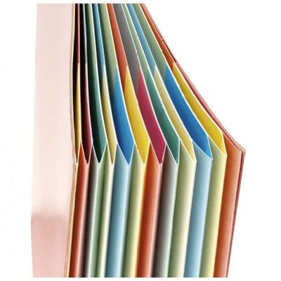0400000223070-Extendos - Trieur 7 positions - vert--0
