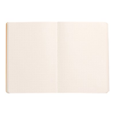 3037921174425-RHODIA Rhodiarama - Carnet souple A5 - 160 pages - pointillés - paon-Avant-1