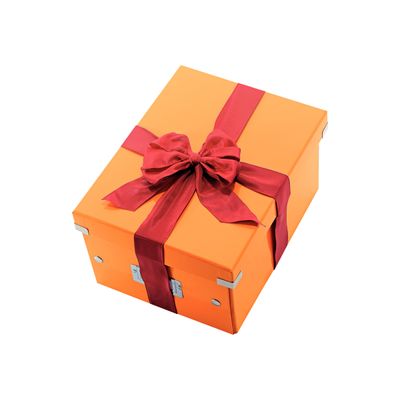 4002432398140-Leitz Click & Store - Boîte de rangement- A4 - orange métallisé-Angle droit-0