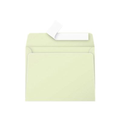 3329680554717-Pollen - 20 Enveloppes - 90 x 140 mm - 120 g/m² - vert bourgeon-Avant-0