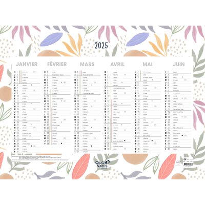 3371010469260-Quo Vadis - Calendrier Fantaisie - 55 x 40,5 cm - Exotique--0