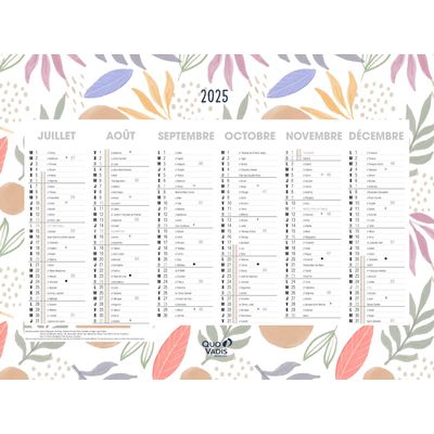 3371010469260-Quo Vadis - Calendrier Fantaisie - 55 x 40,5 cm - Exotique--1