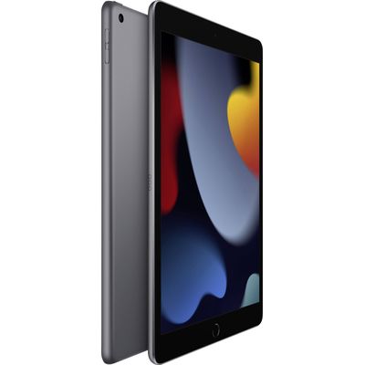 194252515679-Apple iPad - 9éme génération - tablette 2021 - 64 Go - 10,2" - Wifi - Gris Sidéral--2