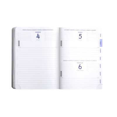 3660942079686-Agenda Dragon Ball S - 1 jour par page - 12 x 17 cm - rouge - Exacompta--2