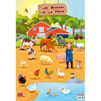 3592930011128-Poster pédagogique BOUCHUT "Animaux de la Ferme" PEFC 70 % 52 x 76 cm--0