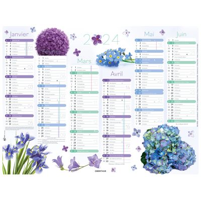 3664447151496-Calendrier Fleurs - 6 mois par face - 32 x 42 cm - Oberthur--0
