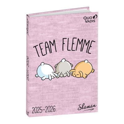 3371010529926-EUROTEXTAGENDA ML Shaman - Flemme - 12x17 cm - Journalier - 12 mois de août à juillet - Quo Vadis--0