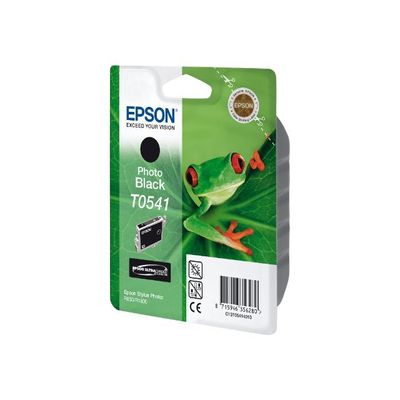 0010343604667-Epson T0541 Grenouille - noir photo - cartouche d'encre originale-Angle droit-1