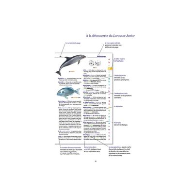 9782036068735-Le dictionnaire Larousse Junior et son dictionnaire en ligne - CE/CM - livre-P_405184149_11-10