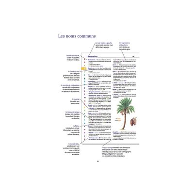 9782036068735-Le dictionnaire Larousse Junior et son dictionnaire en ligne - CE/CM - livre-P_405184149_2-1